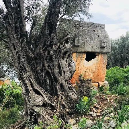 Kekova Fish House Bed and breakfast *